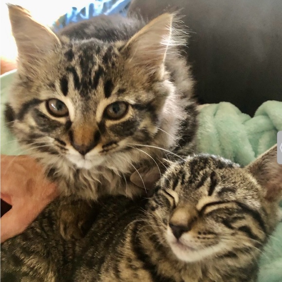 💙🩵 DENIM 🩵 💙 - Picture 7 of 9